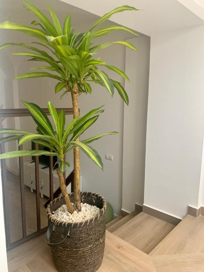 Puerta De Caceres Apartamento 2 Eksteriør bilde